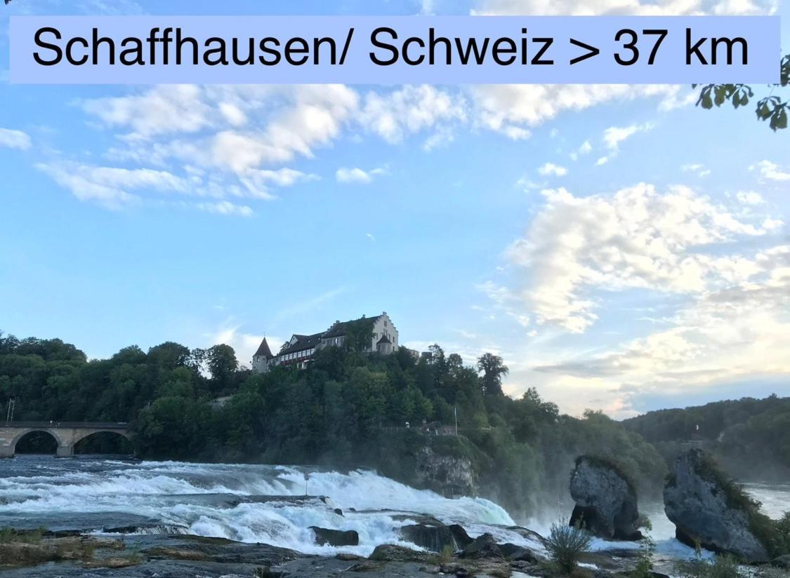 Am Rathaus 1 Apartment Hüfingen Екстериор снимка